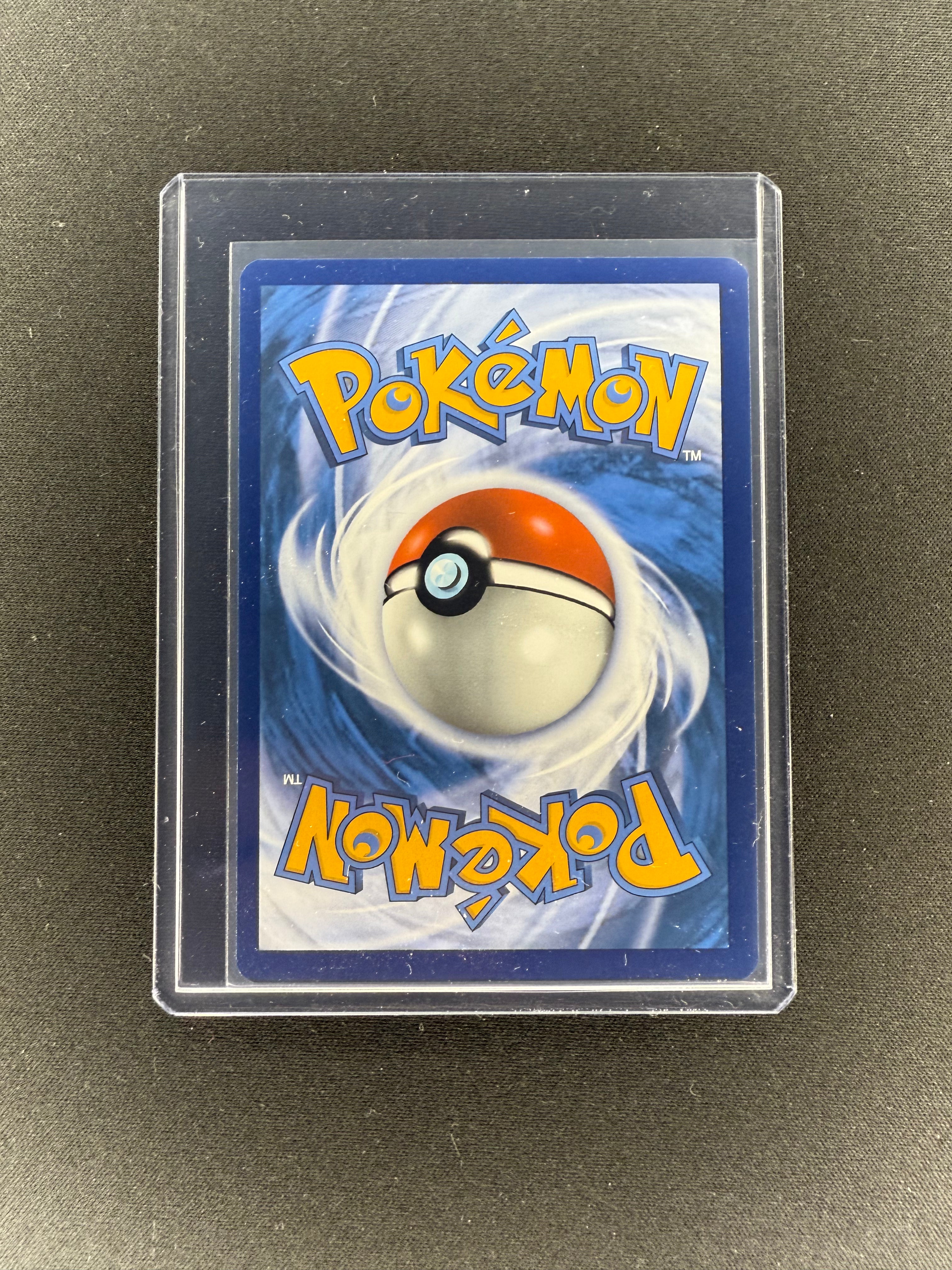 Pokémon TCG Poochyena Crown Zenith Gg33/Gg70 Holo Rare